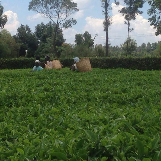 Course Image Agriculture Insurance