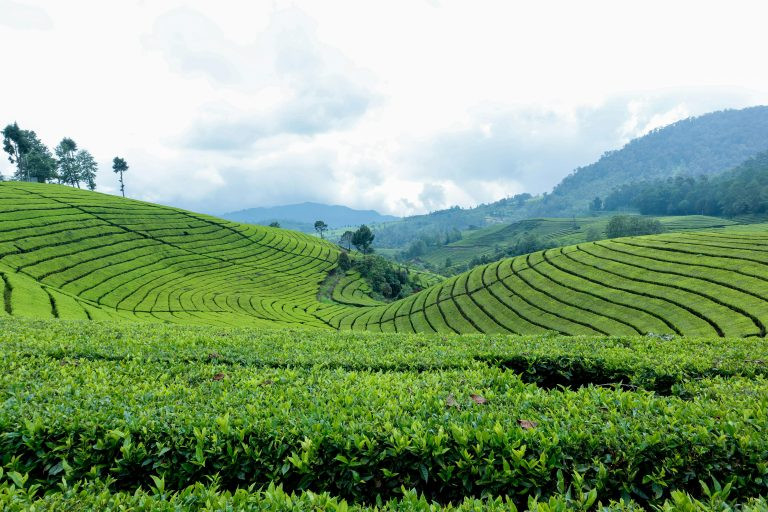Course Image Agriculture Insurance