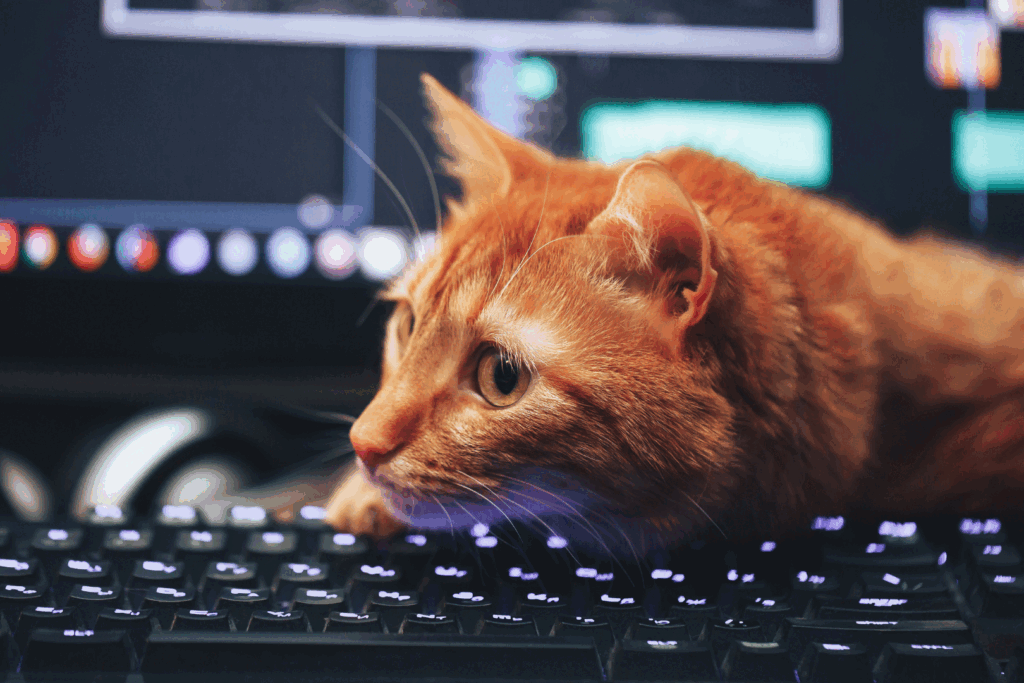 Course Image Cybersecurity in Veterinary Practices