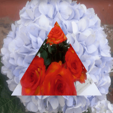 Course Image Advanced Floriculture Risk Management