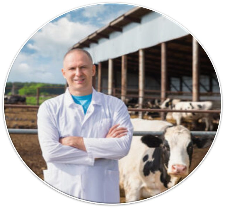 Course Image Advanced Veterinary Livestock Insurance Management