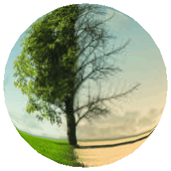 Course Image Climate Change and Adaptation